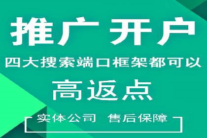 SEM竞价代运营实战技巧与案例